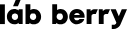 Логотип сети «Lab berry»